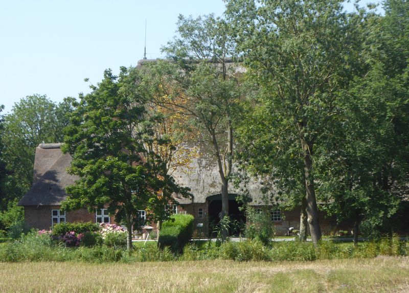 Haubarg